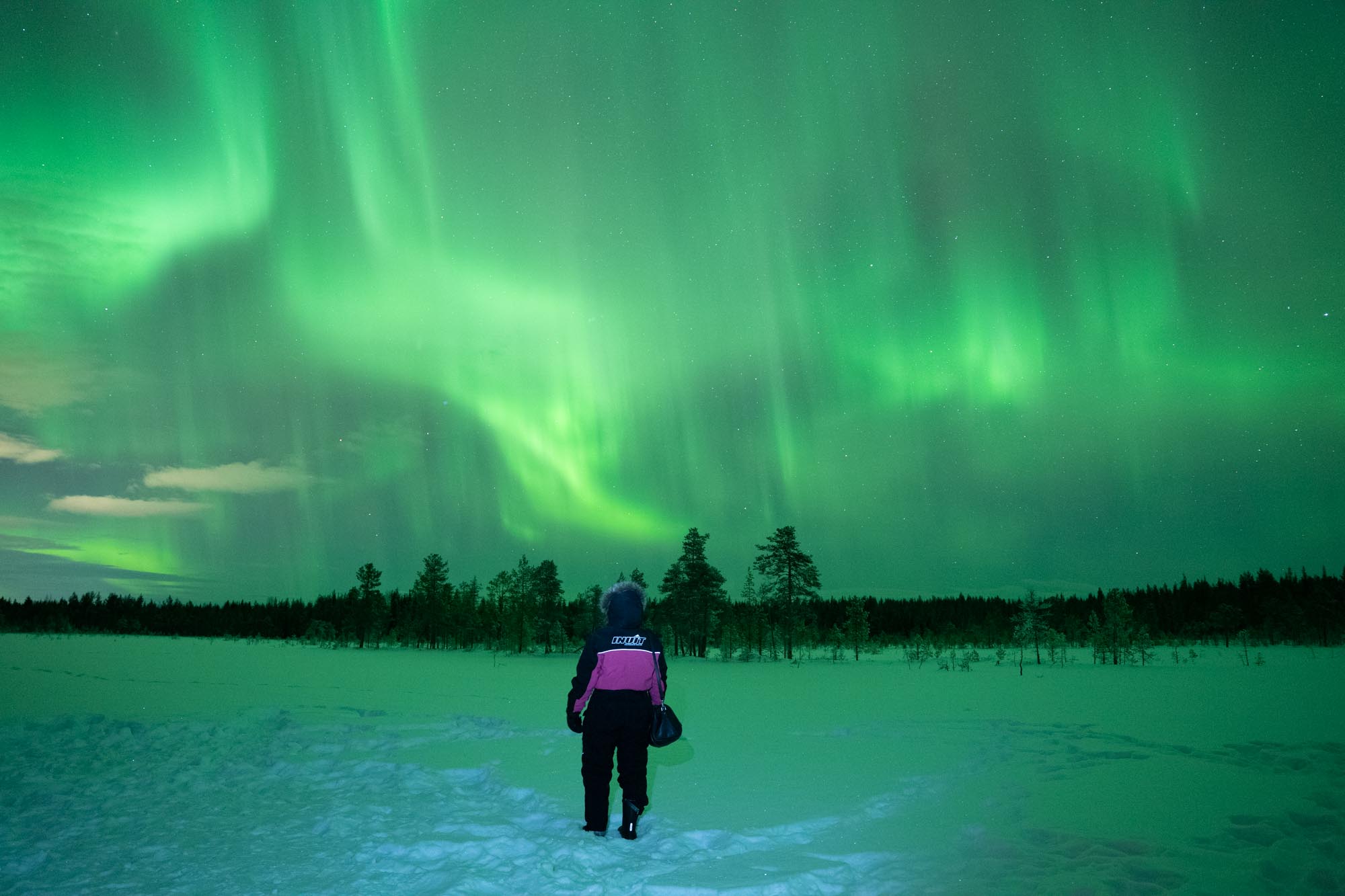 ScandiXplore in Lapland and Porto