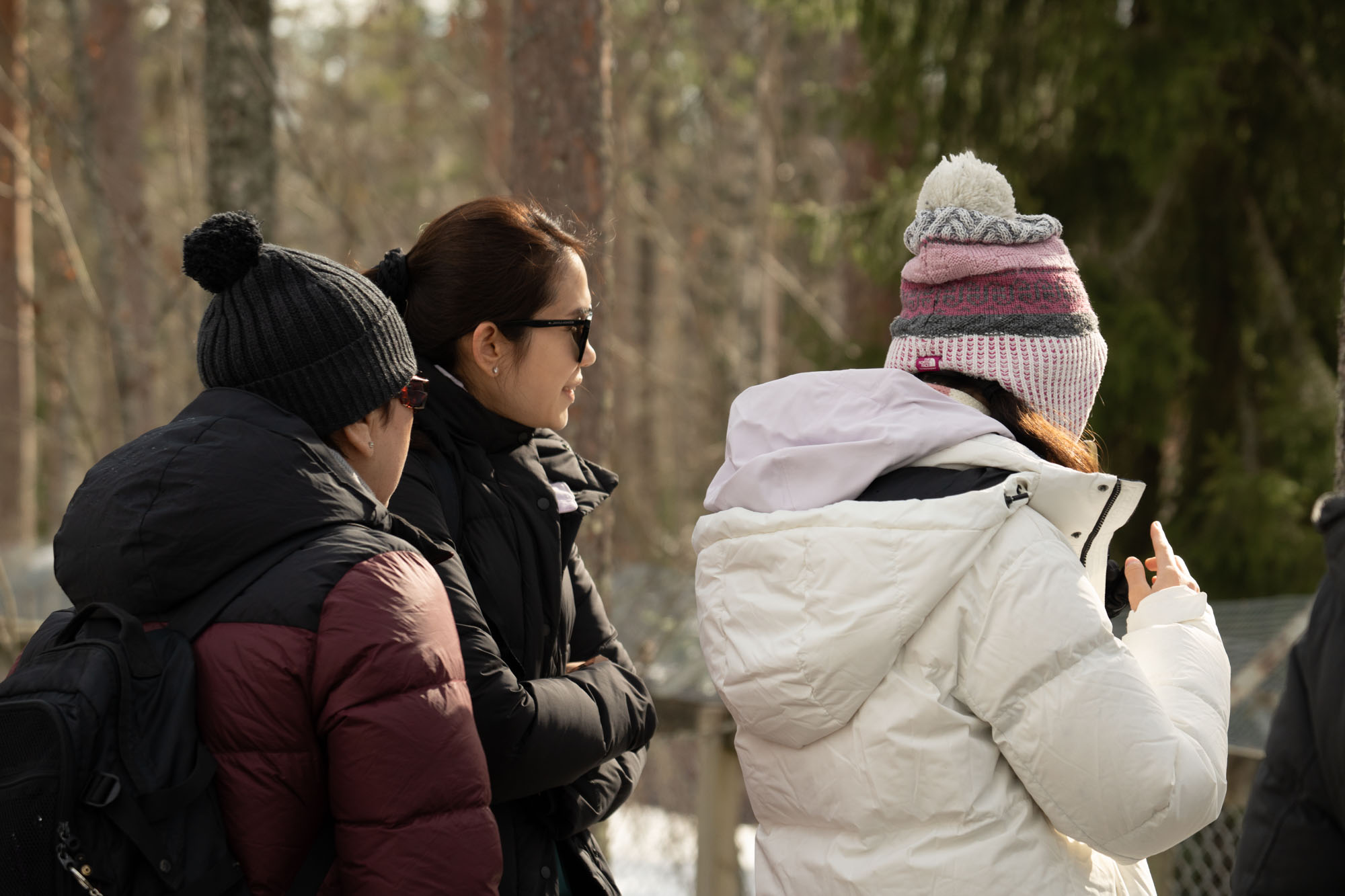Bespoke Lapland Days
