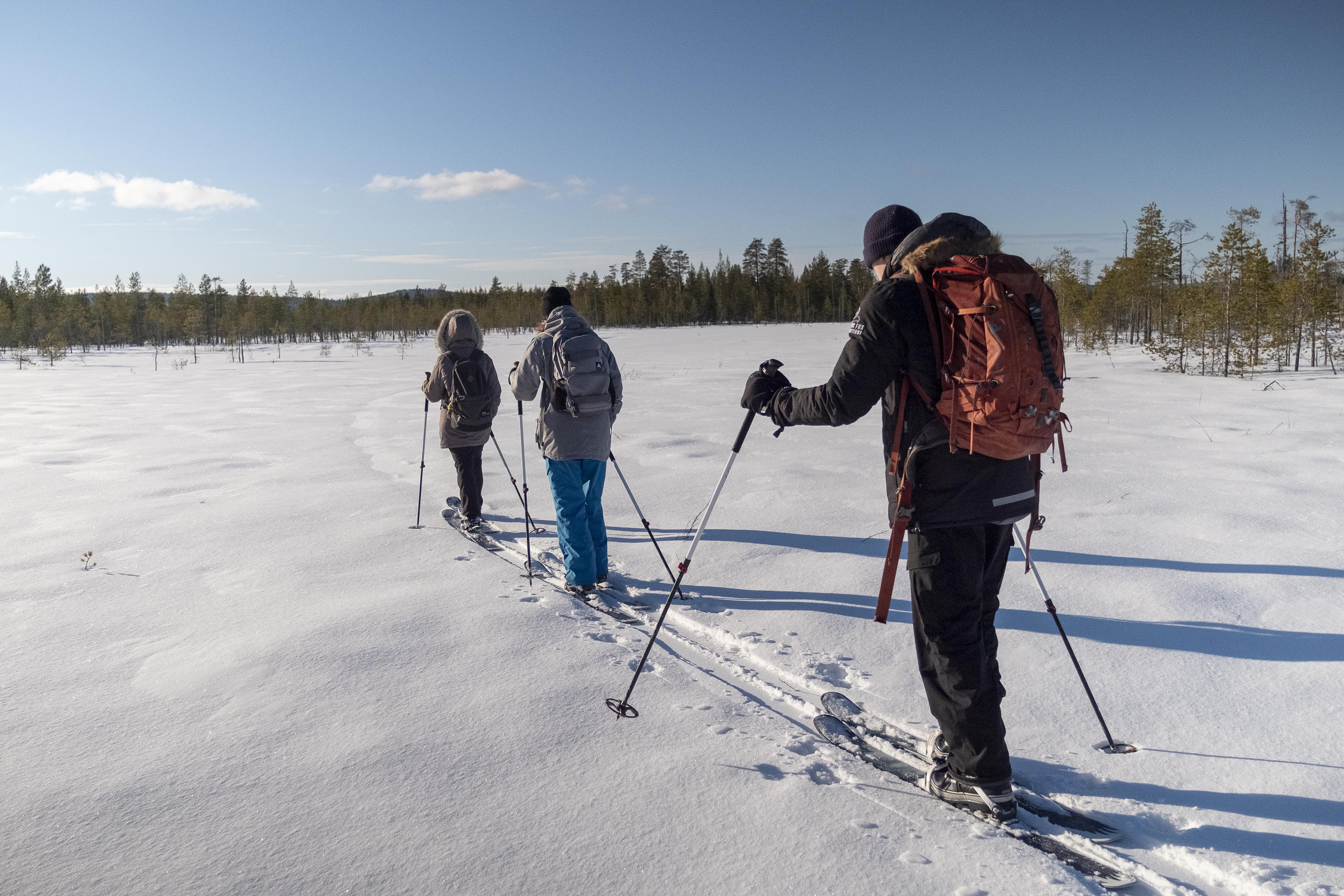 Bespoke Lapland Days