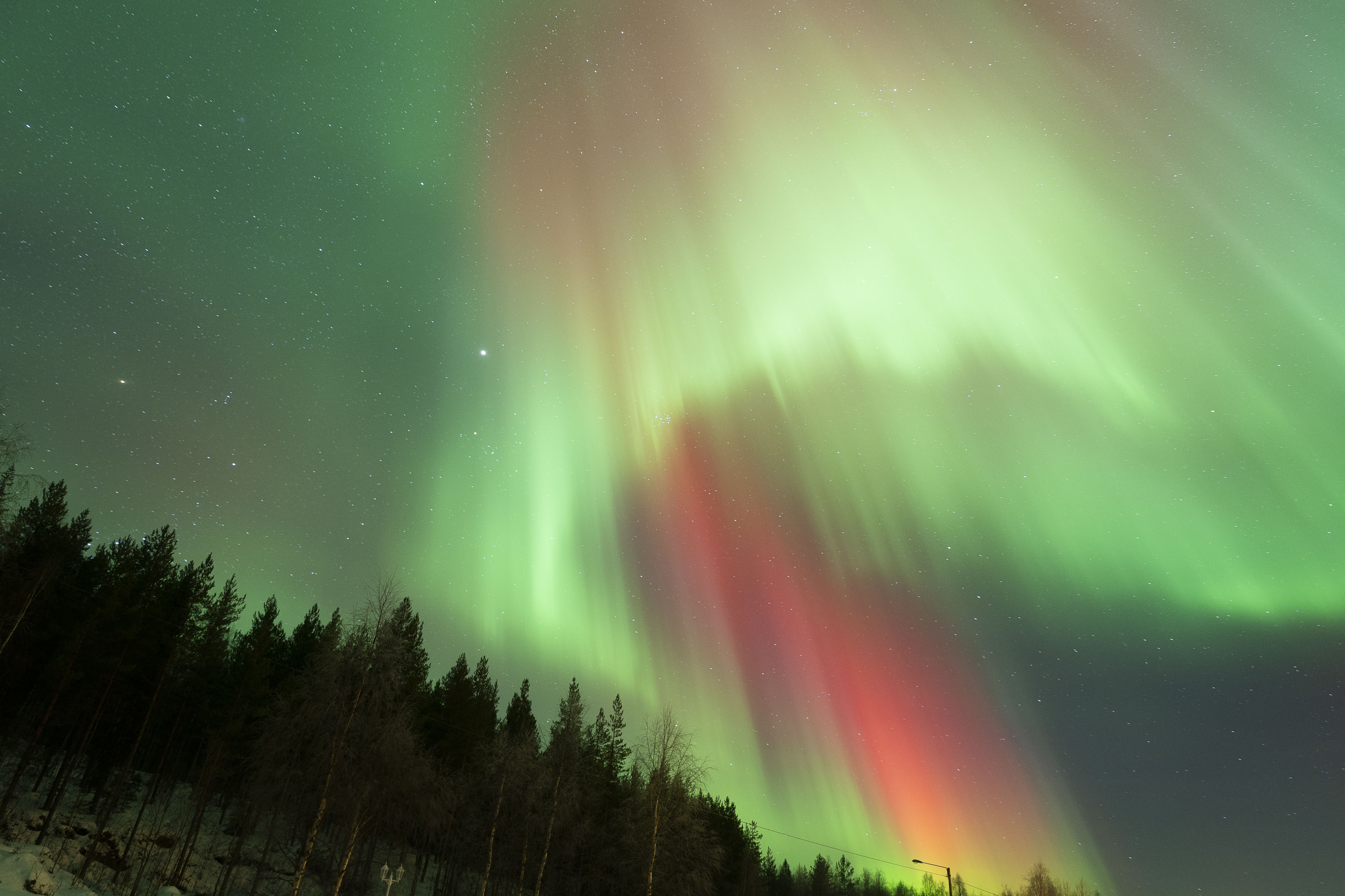 Northern Lights Hunt