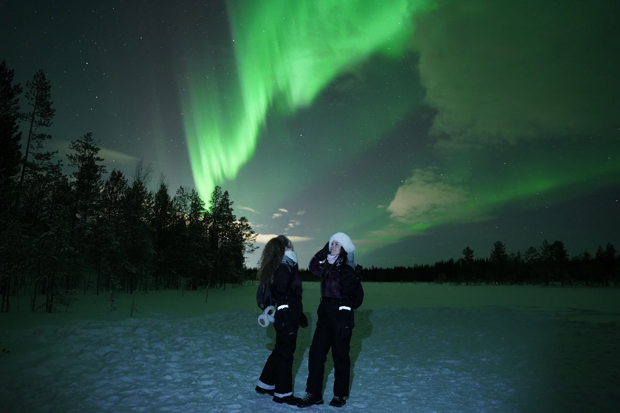 Northern Lights Hunt