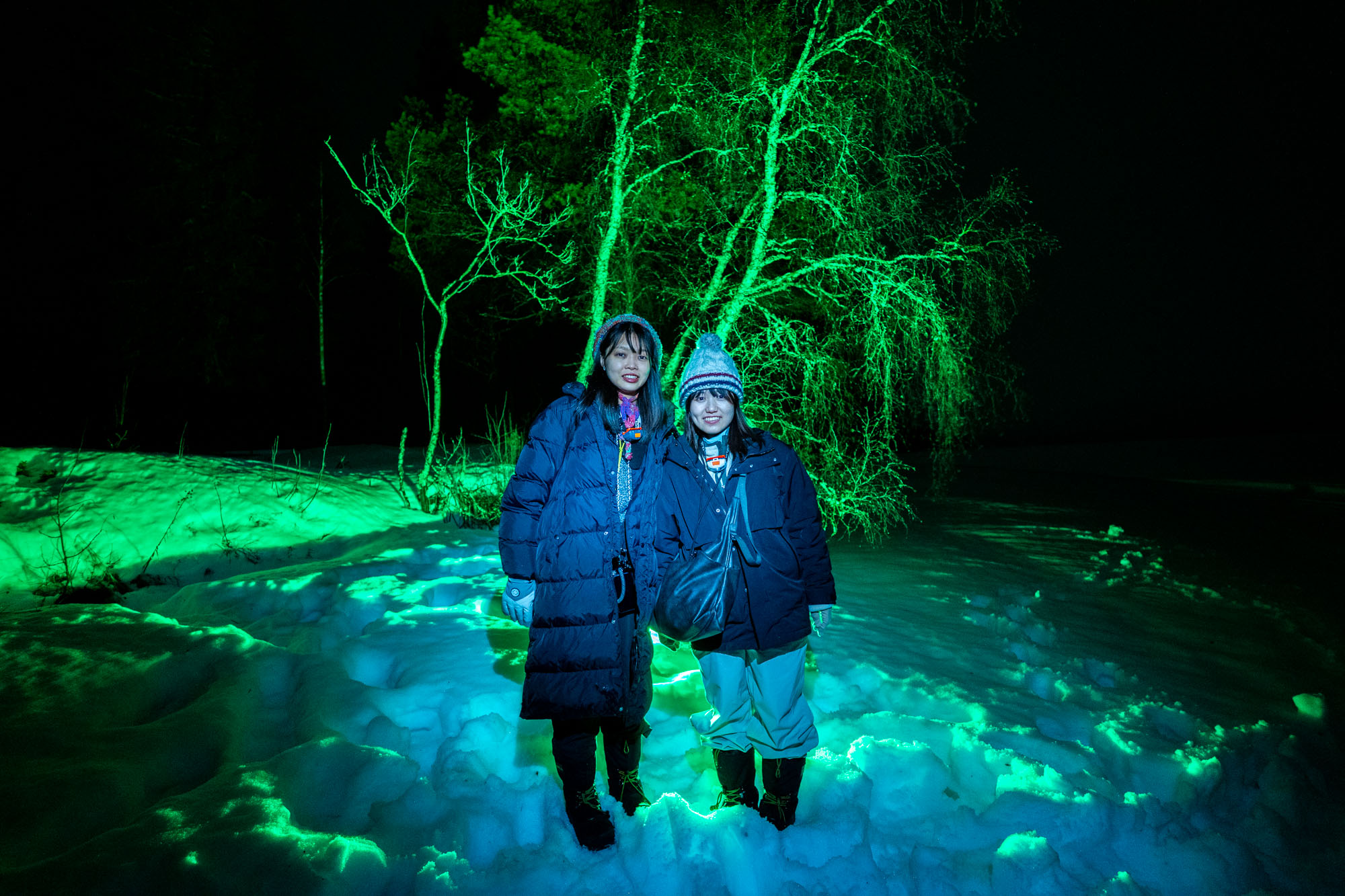 Northern Lights Hunt