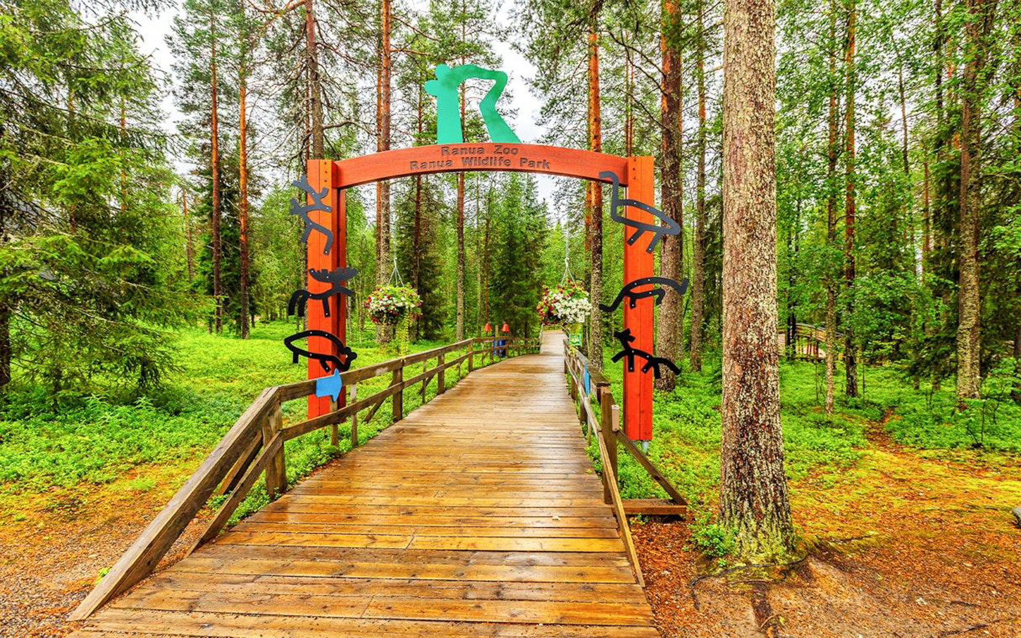 Ranua Wildlife Park & Northern Lights