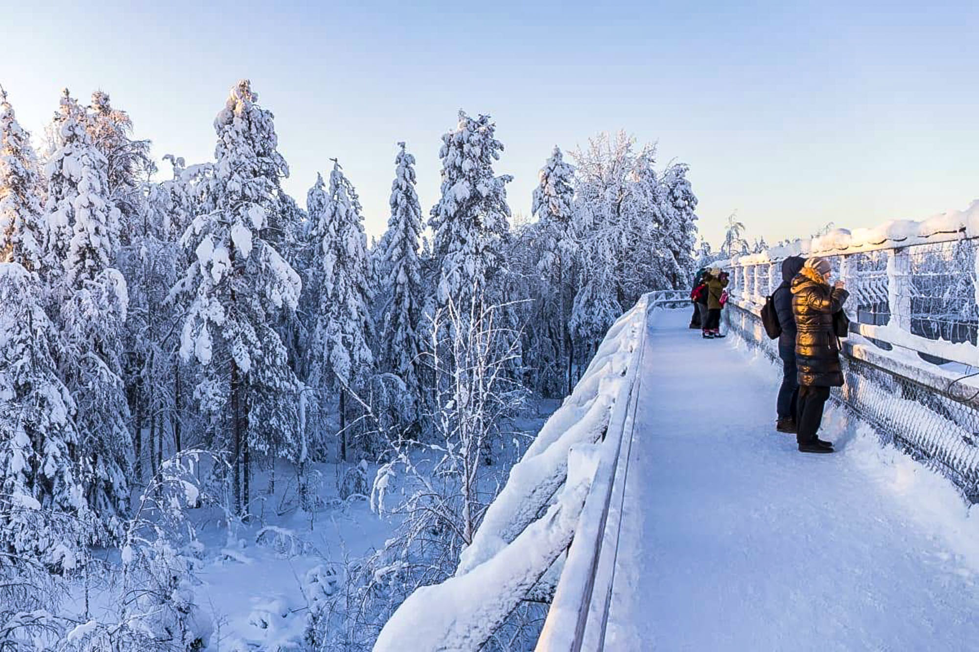 Ranua Wildlife Park & Northern Lights
